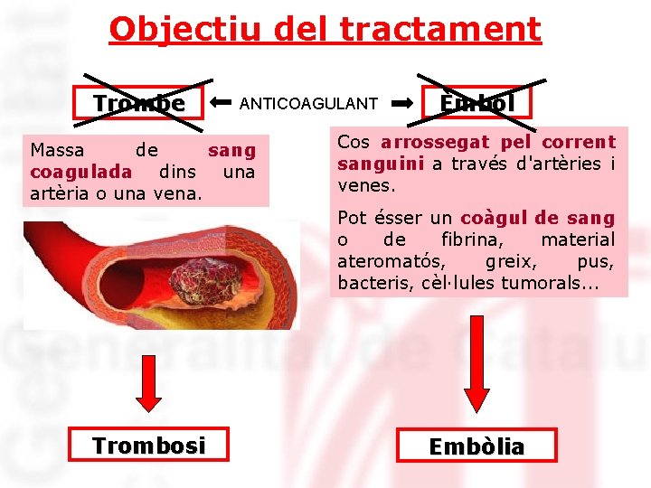 Objectiu del tractament Trombe ANTICOAGULANT Massa de sang coagulada dins una artèria o una