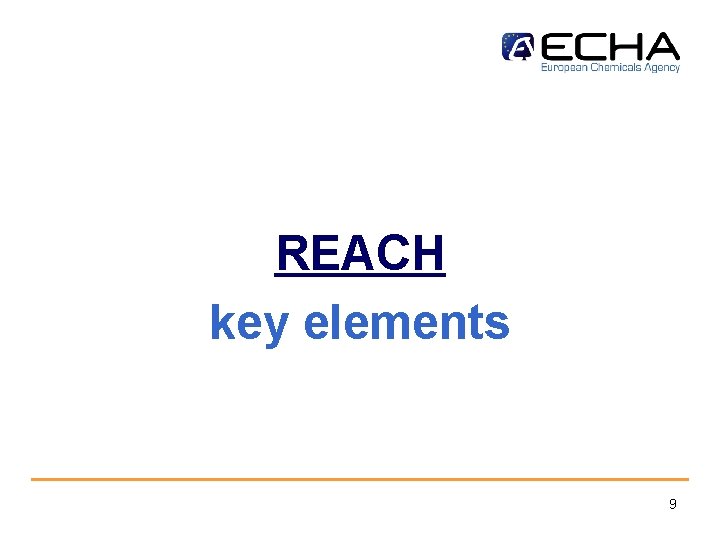 REACH key elements 9 