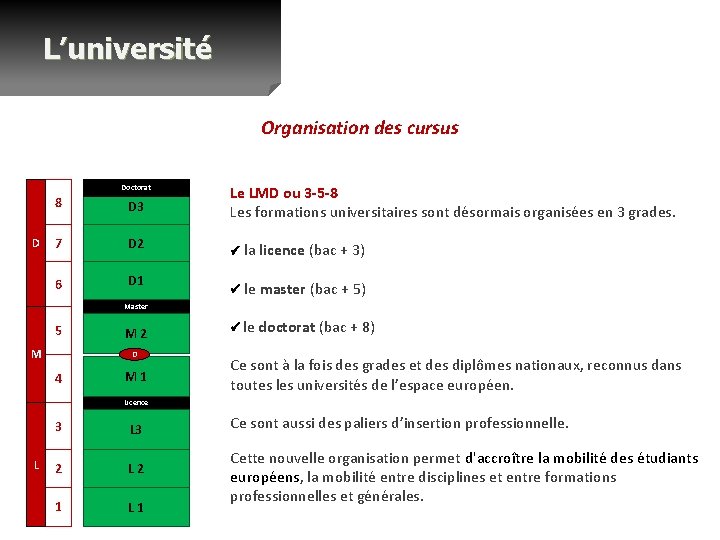 L’université Organisation des cursus Doctorat D 8 D 3 7 D 2 6 D