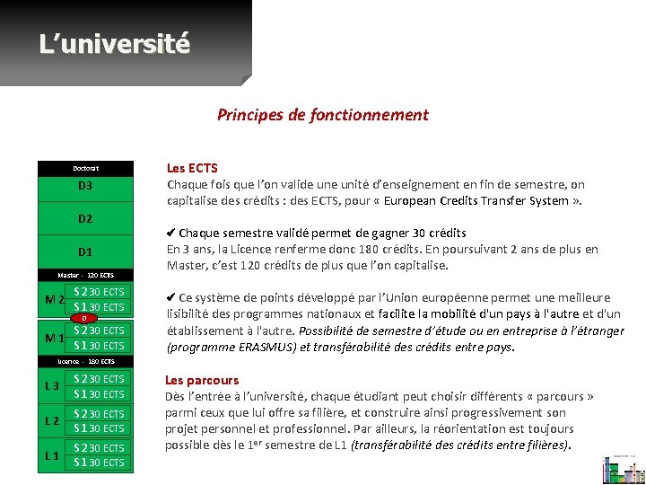 L’université Principes de fonctionnement Doctorat D 3 D 2 D 1 Master - 120