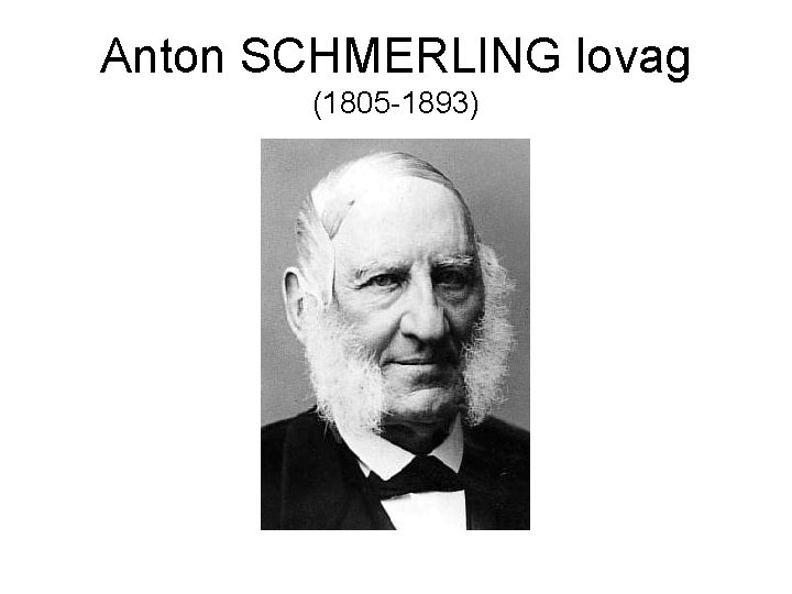 Anton SCHMERLING lovag (1805 -1893) 