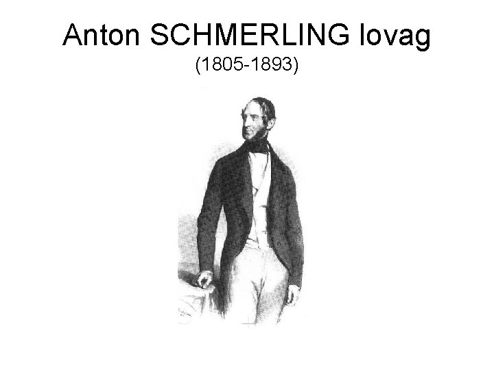 Anton SCHMERLING lovag (1805 -1893) 