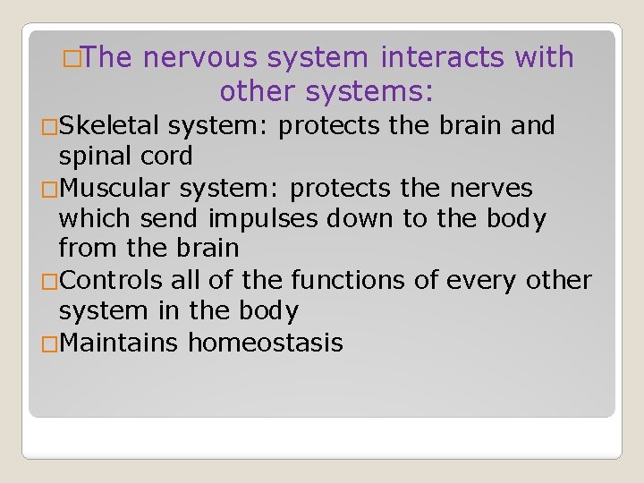 �The nervous system interacts with other systems: �Skeletal system: protects the brain and spinal