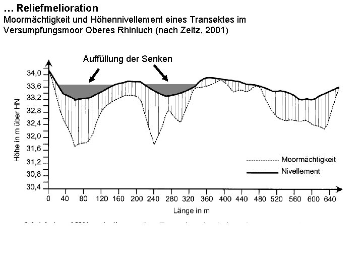 … Reliefmelioration Moormächtigkeit und Höhennivellement eines Transektes im Versumpfungsmoor Oberes Rhinluch (nach Zeitz, 2001)
