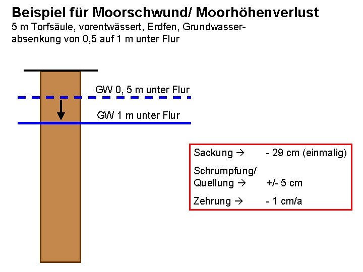 Beispiel für Moorschwund/ Moorhöhenverlust 5 m Torfsäule, vorentwässert, Erdfen, Grundwasserabsenkung von 0, 5 auf