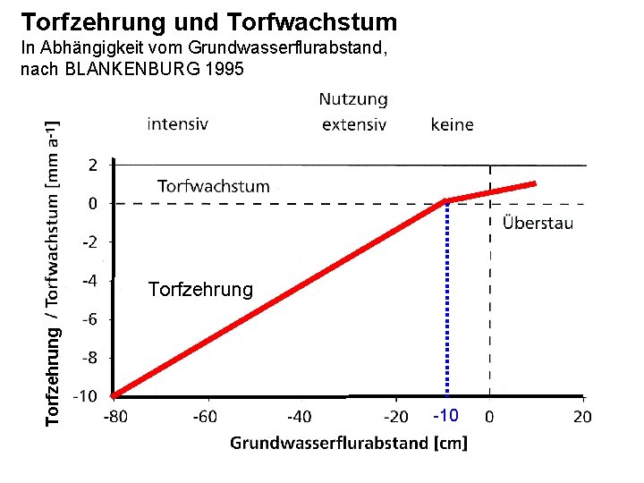 Torfzehrung und Torfwachstum In Abhängigkeit vom Grundwasserflurabstand, nach BLANKENBURG 1995 Torfzehrung -10 