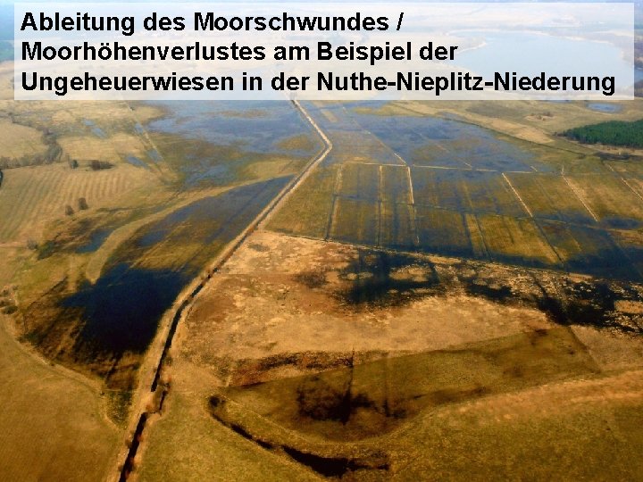 Ableitung des Moorschwundes / Moorhöhenverlustes am Beispiel der Ungeheuerwiesen in der Nuthe-Nieplitz-Niederung 