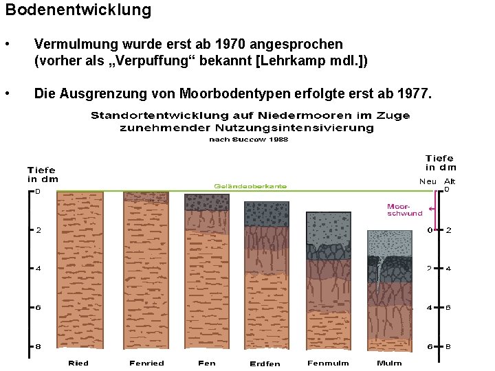 Bodenentwicklung • Vermulmung wurde erst ab 1970 angesprochen (vorher als „Verpuffung“ bekannt [Lehrkamp mdl.