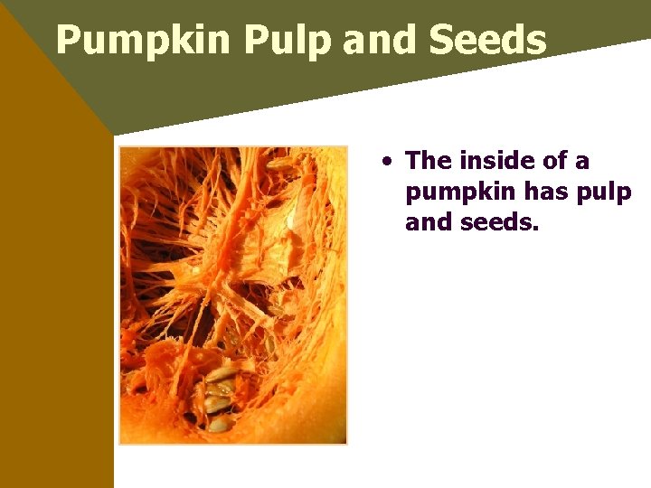 Pumpkin Pulp and Seeds • The inside of a pumpkin has pulp and seeds.