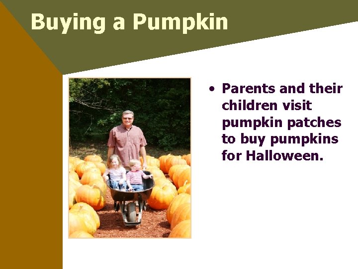 Buying a Pumpkin • Parents and their children visit pumpkin patches to buy pumpkins