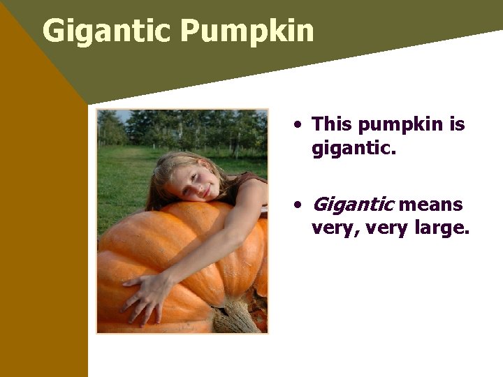 Gigantic Pumpkin • This pumpkin is gigantic. • Gigantic means very, very large. 