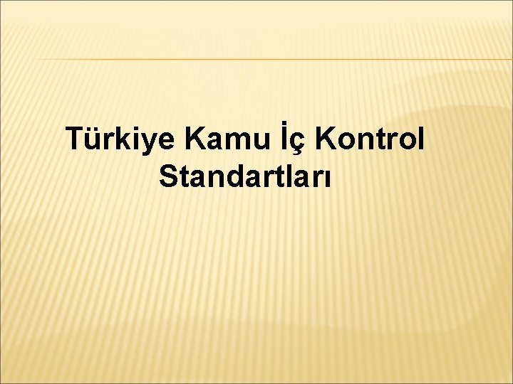 Türkiye Kamu İç Kontrol Standartları 