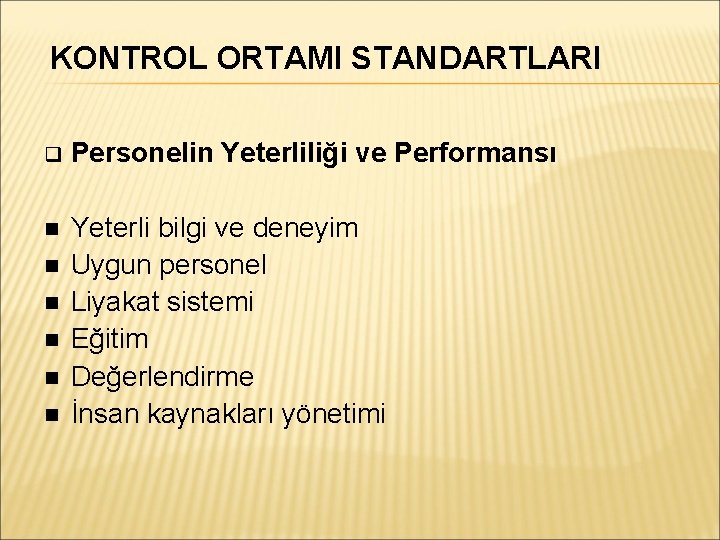 KONTROL ORTAMI STANDARTLARI Personelin Yeterliliği ve Performansı Yeterli bilgi ve deneyim Uygun personel Liyakat