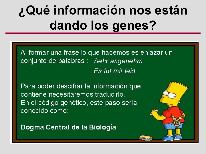 ¿Qué información nos están dando los genes? Al formar una frase lo que hacemos