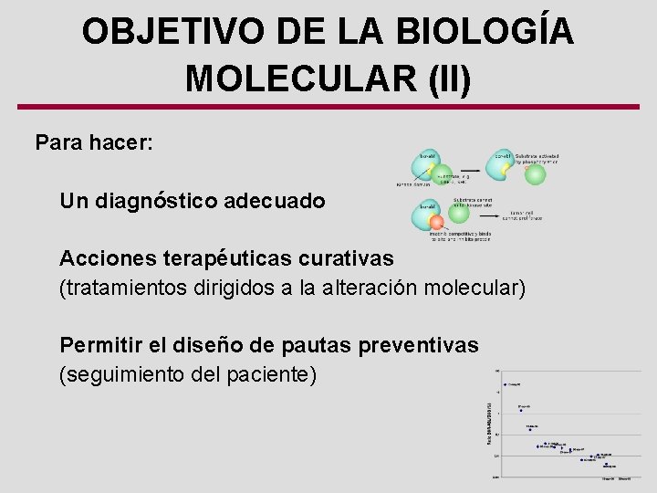 OBJETIVO DE LA BIOLOGÍA MOLECULAR (II) Para hacer: Un diagnóstico adecuado Acciones terapéuticas curativas