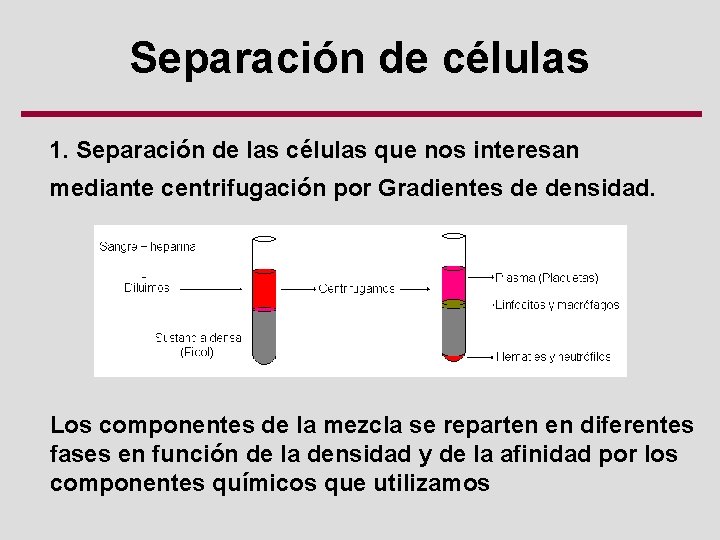 Separación de células 1. Separación de las células que nos interesan mediante centrifugación por