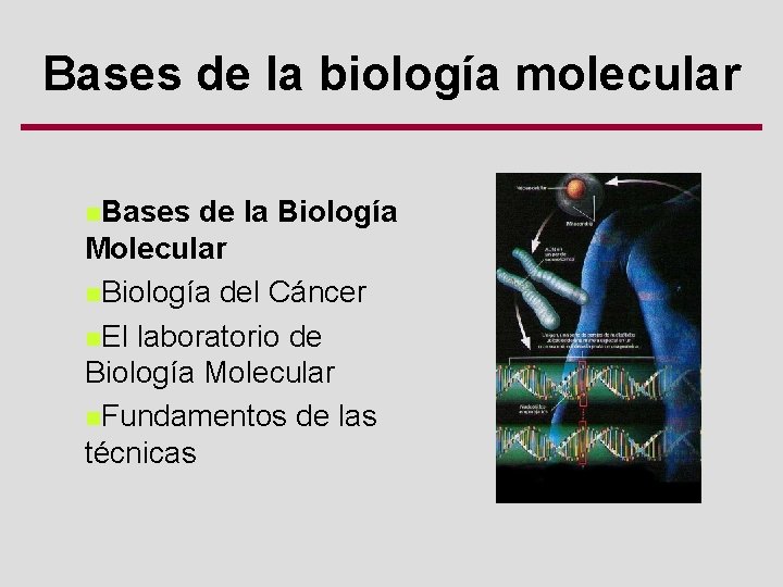 Bases de la biología molecular n. Bases de la Biología Molecular n. Biología del