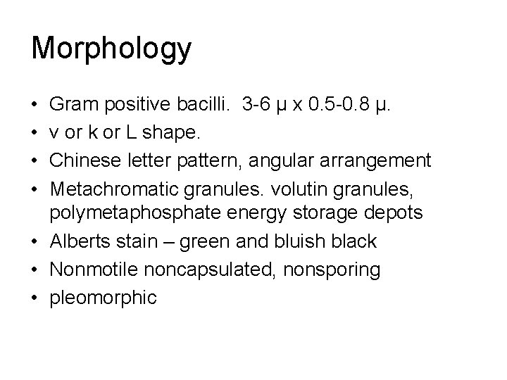 Morphology • • Gram positive bacilli. 3 -6 μ x 0. 5 -0. 8