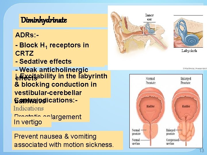 Diminhydrinate ADRs: Sedation - Block H 1 receptors in Dizziness CRTZ Anticholinergic side effects.