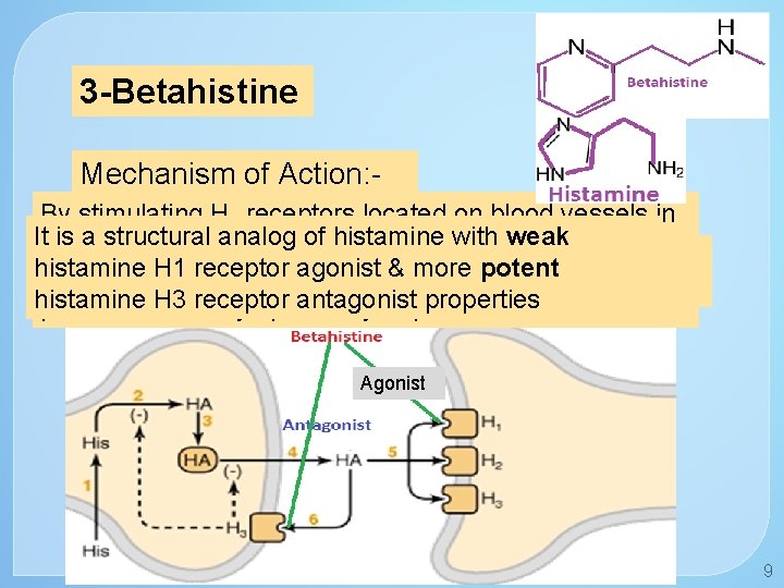 3 -Betahistine Mechanism of Action: By stimulating H 1 receptors located on blood vessels