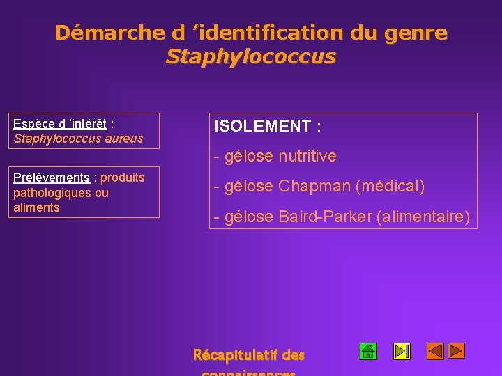 Démarche d ’identification du genre Staphylococcus Espèce d ’intérêt : Staphylococcus aureus ISOLEMENT :