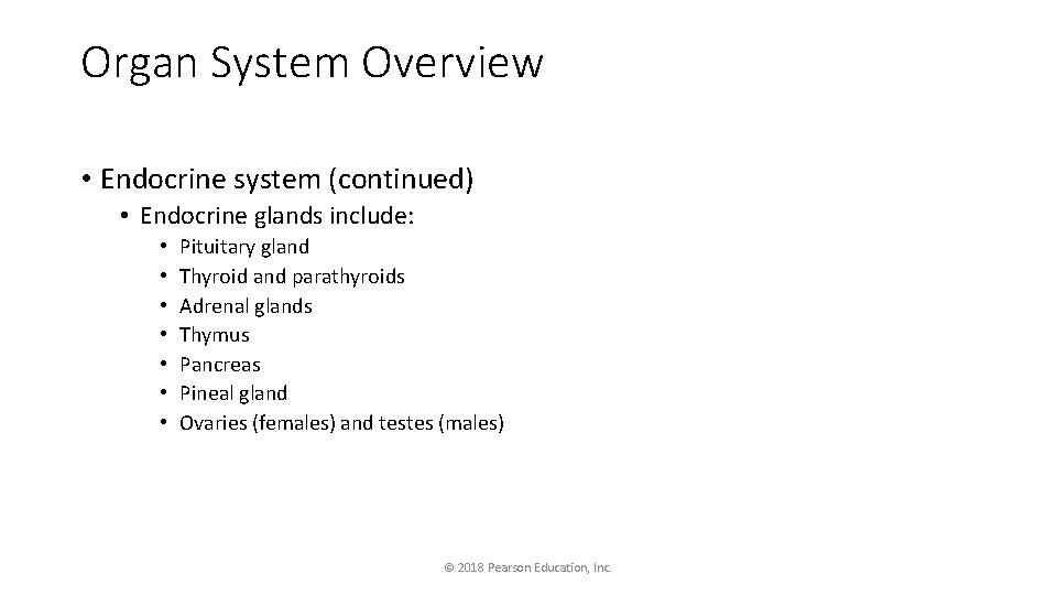 Organ System Overview • Endocrine system (continued) • Endocrine glands include: • • Pituitary