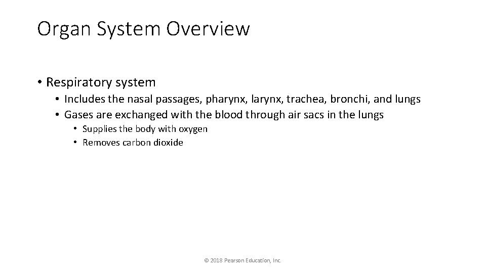 Organ System Overview • Respiratory system • Includes the nasal passages, pharynx, larynx, trachea,