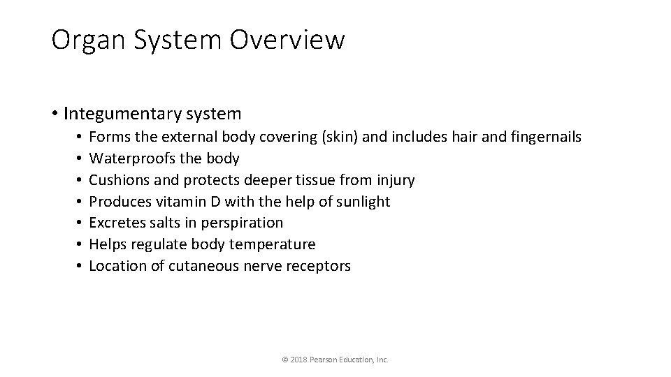 Organ System Overview • Integumentary system • • Forms the external body covering (skin)