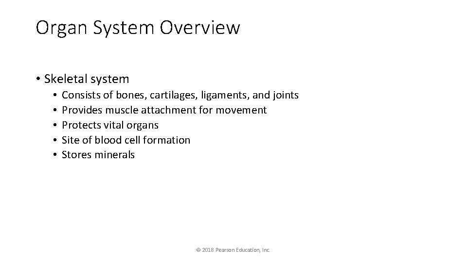 Organ System Overview • Skeletal system • • • Consists of bones, cartilages, ligaments,