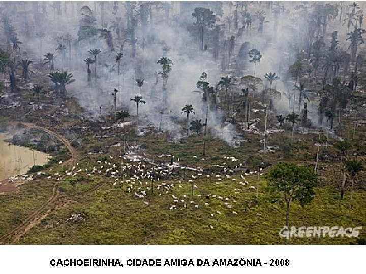 CACHOEIRINHA, CIDADE AMIGA DA AMAZÔNIA - 2008 