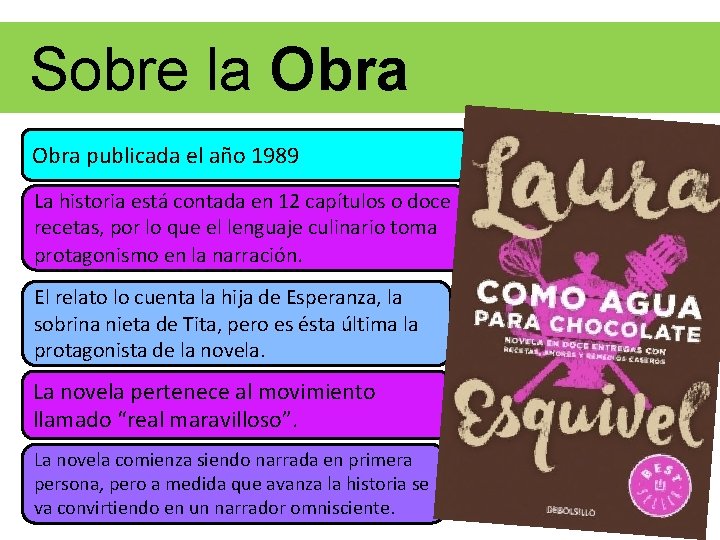 Sobre la Obra publicada el año 1989 La historia está contada en 12 capítulos