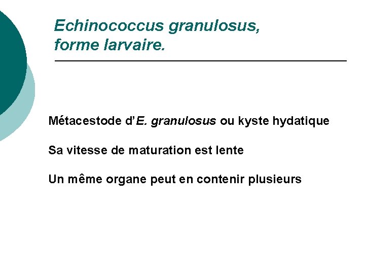 Echinococcus granulosus, forme larvaire. Métacestode d’E. granulosus ou kyste hydatique Sa vitesse de maturation