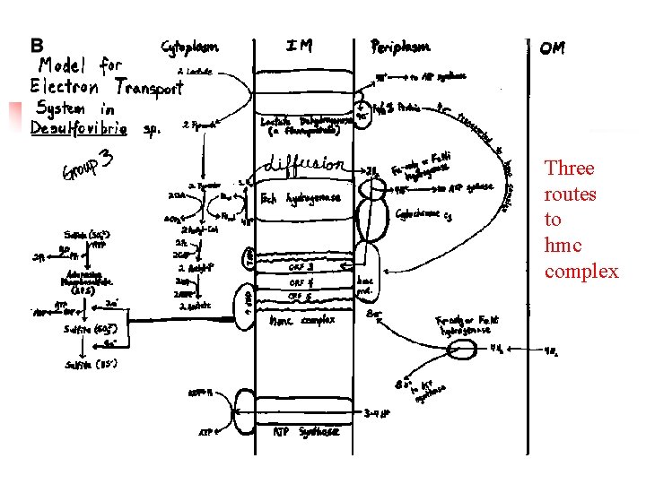 Three routes to hmc complex 