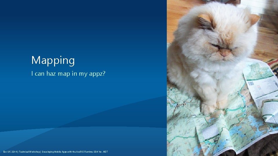 Mapping I can haz map in my appz? Esri UC 2014 | Technical Workshop