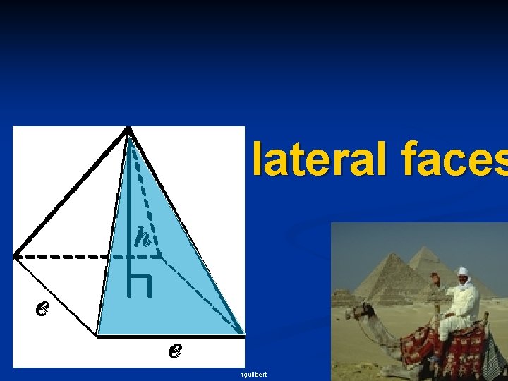 lateral faces fguilbert 