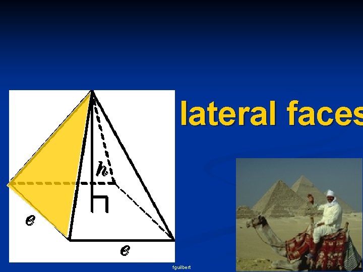 lateral faces fguilbert 