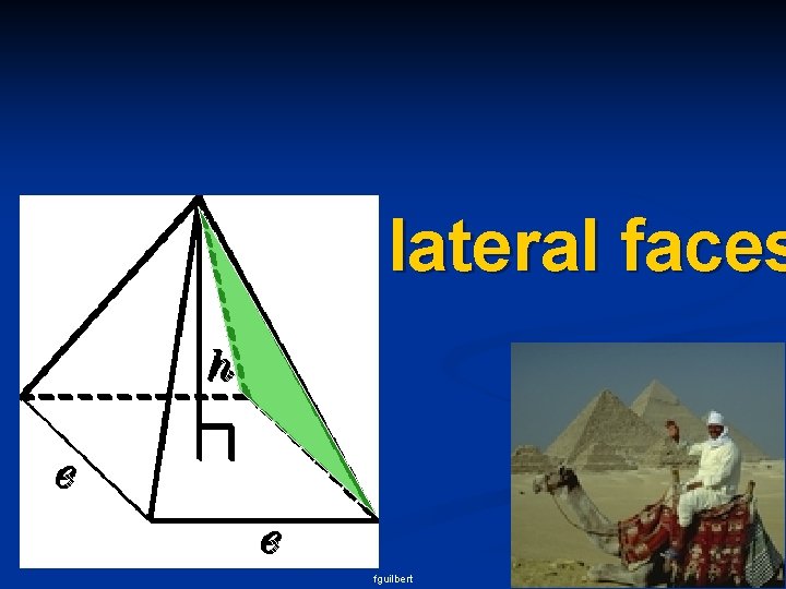 lateral faces fguilbert 