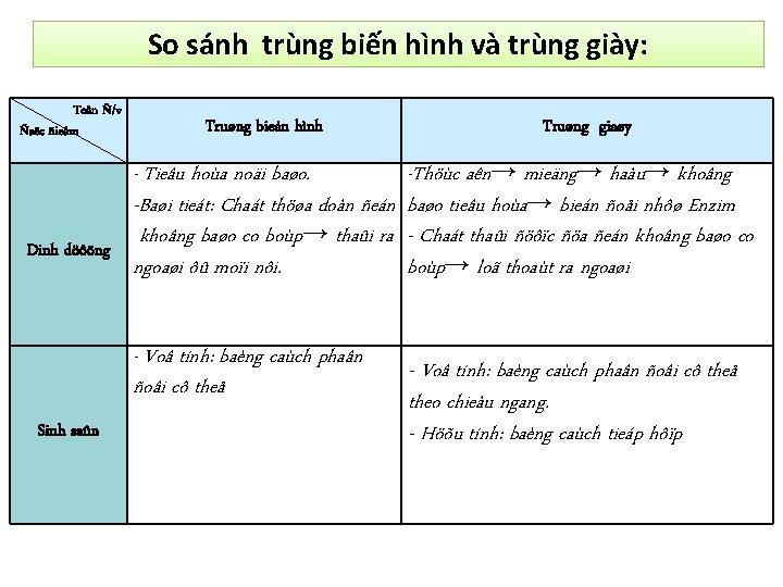 So sánh trùng biến hình và trùng giày: Teân Ñ/v Ñaëc ñieåm Truøng bieán