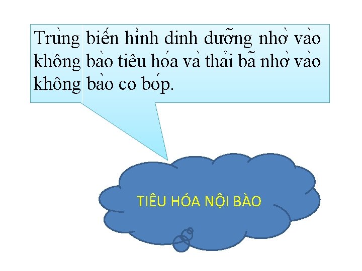 Tru ng biê n hi nh dinh dươ ng nhơ va o không ba