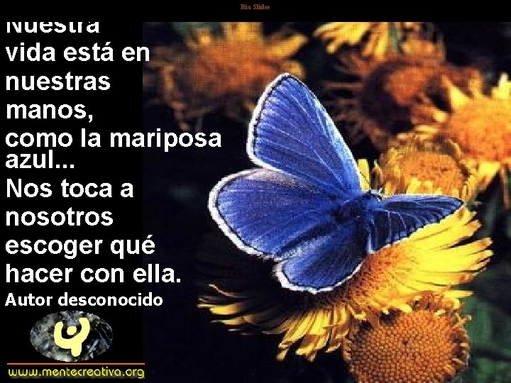 Nuestra vida está en nuestras manos, como la mariposa azul. . . Nos toca