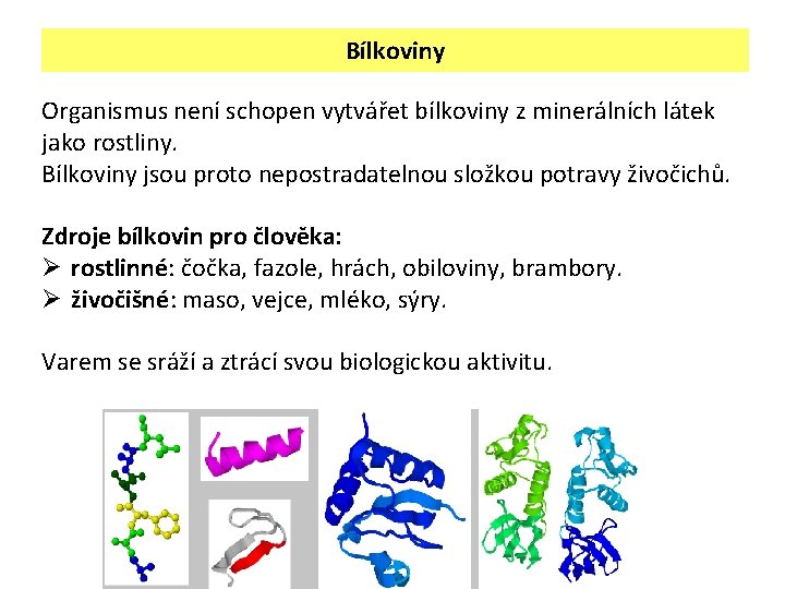 Bílkoviny Organismus není schopen vytvářet bílkoviny z minerálních látek jako rostliny. Bílkoviny jsou proto