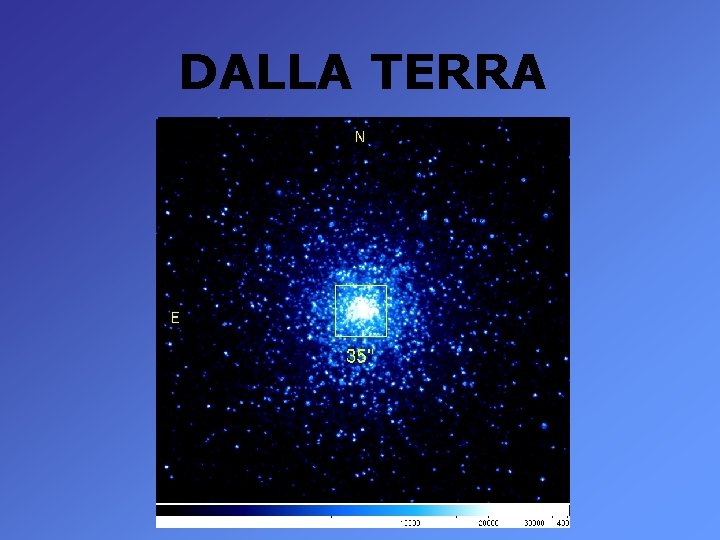 DALLA TERRA 