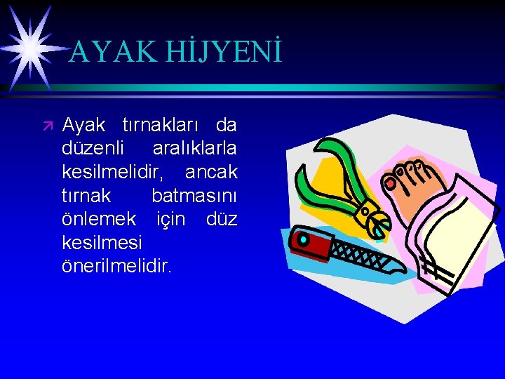 AYAK HİJYENİ ä Ayak tırnakları da düzenli aralıklarla kesilmelidir, ancak tırnak batmasını önlemek için