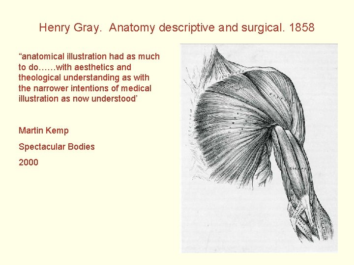 Henry Gray. Anatomy descriptive and surgical. 1858 “anatomical illustration had as much to do……with