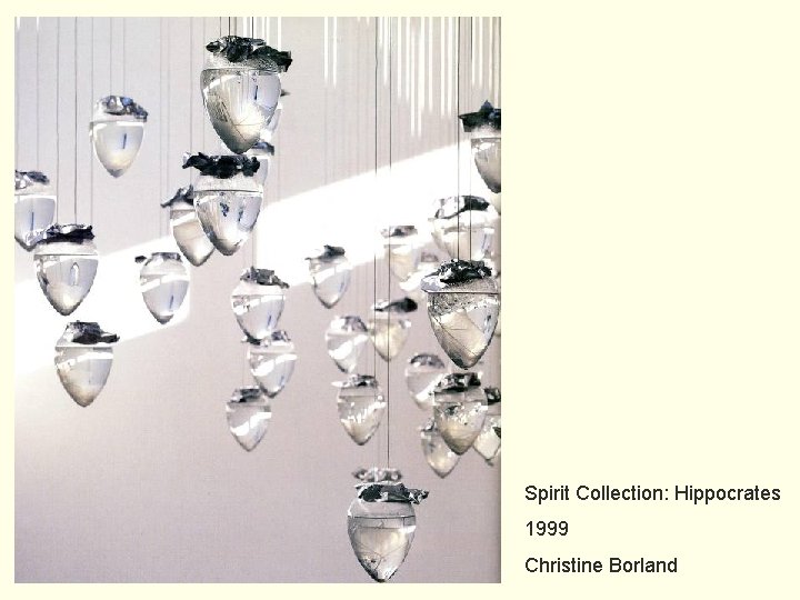 Spirit Collection: Hippocrates 1999 Christine Borland 