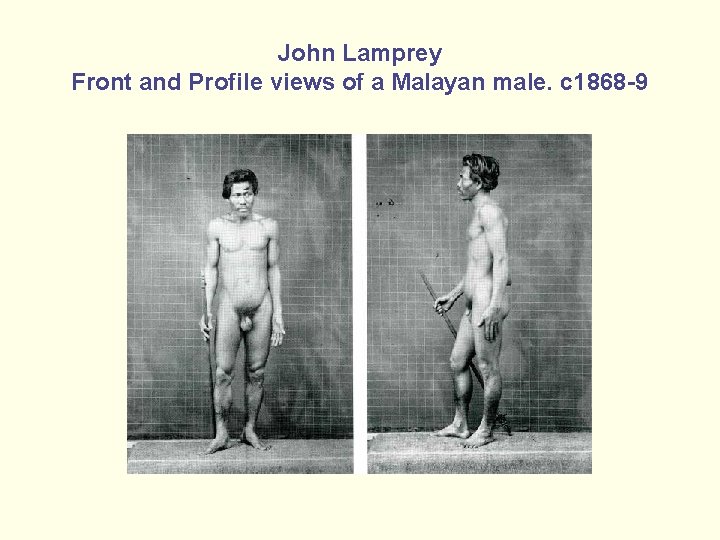 John Lamprey Front and Profile views of a Malayan male. c 1868 -9 