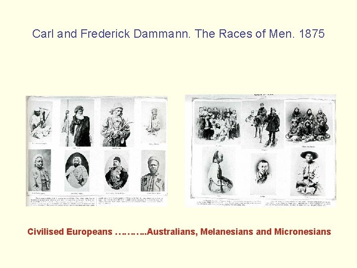 Carl and Frederick Dammann. The Races of Men. 1875 Civilised Europeans ………. . Australians,