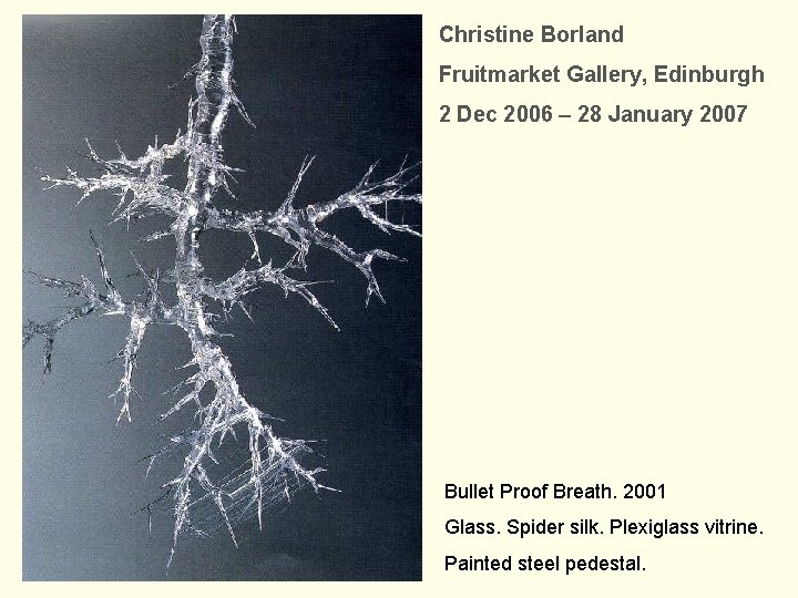 Christine Borland Fruitmarket Gallery, Edinburgh 2 Dec 2006 – 28 January 2007 Bullet Proof