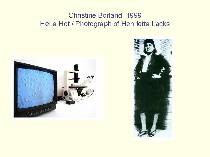 Christine Borland. 1999 He. La Hot / Photograph of Henrietta Lacks 