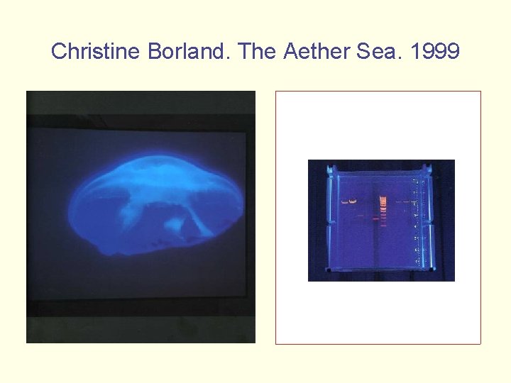 Christine Borland. The Aether Sea. 1999 